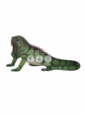 Iguane – Image 3